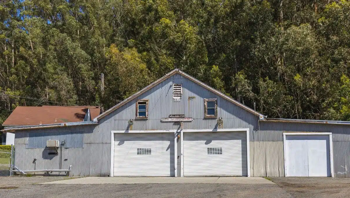 Modern vs. Carriage Garage Doors